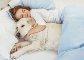 Can’t Get Enough of Your Dog? Then You’ll Enjoy this Sleepathon!